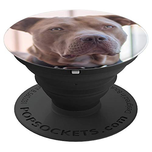 Pitbull Cute Dog Pet Animal Gift PopSockets Grip and Stand for Phones and Tablets Pitbull Cute Dog Pet Animal Gift PopSockets Grip and Stand for Phones and Tablets