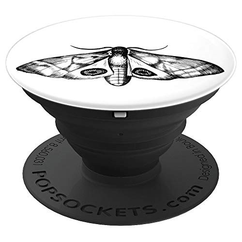 Vintage retro moth scientific illustration entomologist PopSockets Grip and Stand for Phones and Tablets
