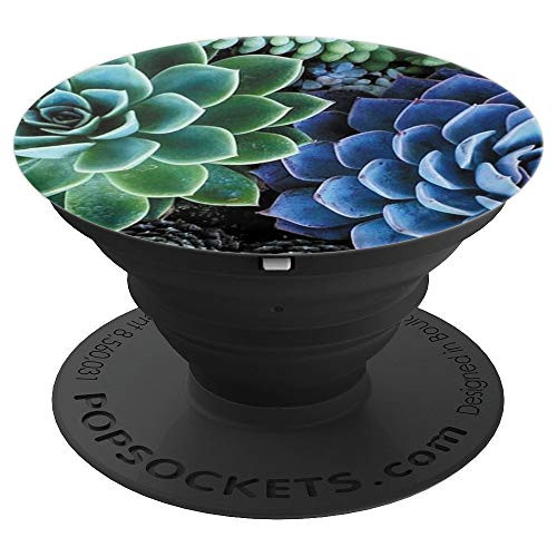 Cute green and purple succulent plants pattern PopSockets Grip and Stand for Phones and Tablets Cute green and purple succulent plants pattern PopSockets Grip and Stand for Phones and Tablets