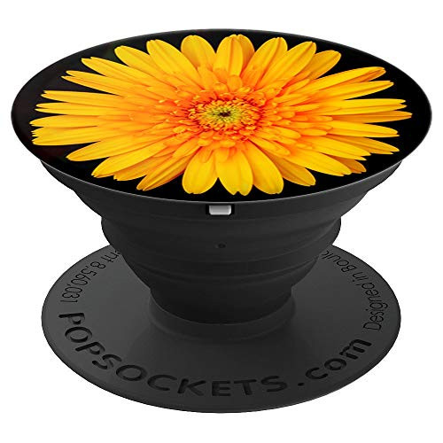 Yellow Daisy Flower With Black Background PopSockets Grip and Stand for Phones and Tablets