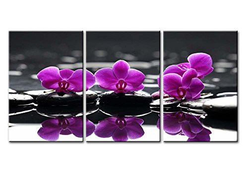 So Crazy Art Flowers in Spa Wall Art Decor Blooming Purple Butterfly Orchid on The Black Zen Stones Canvas Pictures Artwork 3 Panel Painting Prints for Home Living Dining Room Kitchen So Crazy Art Flowers in Spa Wall Art Decor Blooming Purple Butterfly Orchid on The Black Zen Stones Canvas Pictures Artwork 3 Panel Painting Prints for Home Living Dining Room Kitchen
