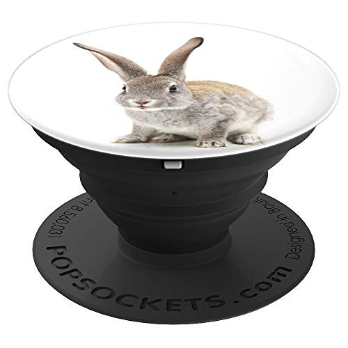 Cute Gray Bunny Rabbit On White Background PopSockets Grip and Stand for Phones and Tablets