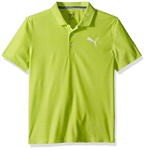 PUMA Golf Teen Boys 2018 Pounce Aston Polo Acid Lime X Small