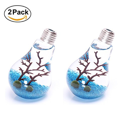 Ivolador Set of 2 Pcs Unique Tilt Lightbulb Glass Flower Air Planter Vase Terrarium Container Home Garden