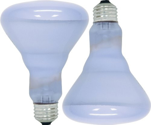 GE Lighting 11684 Reveal 65-watt 445-Lumen BR30 Flood Light Bulb, 2-Pack