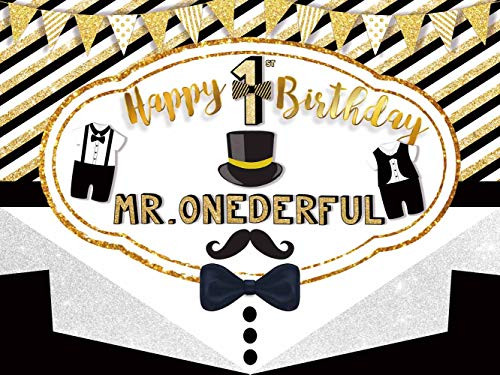 Mr Onederful Backdrop   1st   First Birthday   Boy   Banner   Party Supplies   Photography Background   Decoration