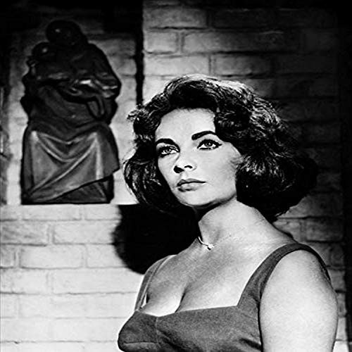 Posterazzi DAP17769 Elizabeth Taylor   Brick Background with Statue Photo Print 8 x 10 Multi