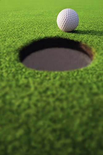 Posterazzi Golf Ball On Lip Of Cup Poster Print  11 x 17