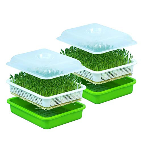Seed Sprouter Tray with Lid BPA Free Bean Sprout Grower  2pcs Tray