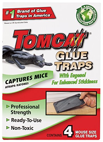 Tomcat Mouse Size Glue Traps 4 Pack  Eugenol Formula