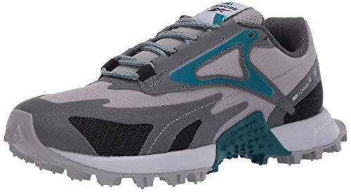 Reebok Women s at Craze 20 Running Shoe Powder Grey True Grey Seaport Teal 85 M US