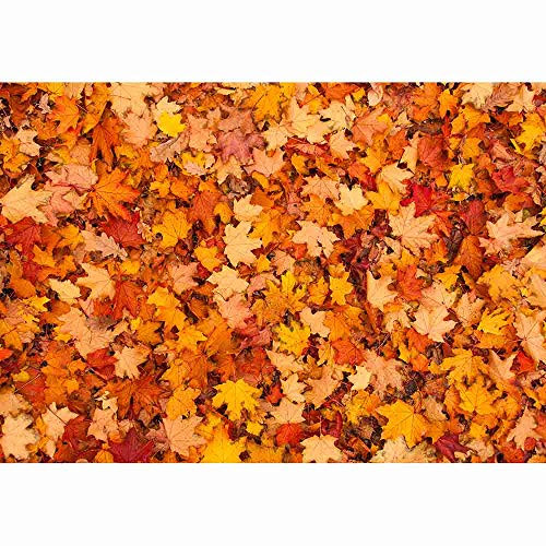 Allenjoy 5x3ft Fall Maple Leaves Photography Backdrop Autumn Harvest Scene Background Floor Thanksgiving Party Supplies Halloween Decoration Banner Photo Booth Props