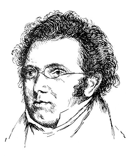 Franz Schubert  1797 1828  Naustrian Composer Pen And Ink Drawing Poster Print by  18 x 24