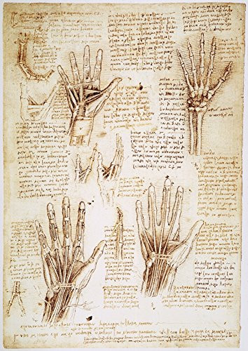 Leonardo Hands C1510 Npen And Ink Studies By Leonardo Da Vinci C1510 11 Of The Human Hand Poster Print by  18 x 24