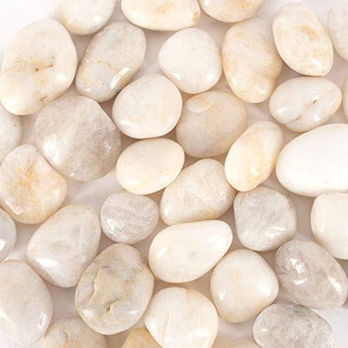 Galashield 5 lb White Rocks Pebbles for Plants Natural Decorative Polished Stones for Planters Succulent River Rocks Aquarium Gravel Galashield 5 lb White Rocks Pebbles for Plants Natural Decorative Polished Stones for Planters Succulent River Rocks Aquarium Gravel