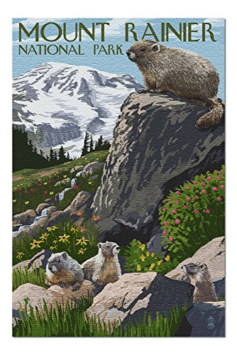 Mount Rainier National Park Washington   Marmots  Premium 1000 Piece Jigsaw Puzzle for Adults 19x27