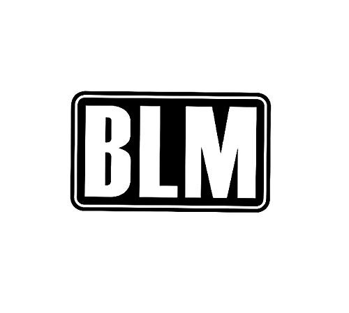BLM Black Lives Matter MKR Decal Vinyl Sticker  Cars Trucks Vans Walls Laptop Black 55 x 33 in MKR1535