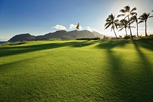 Posterazzi Golf Course Lagoons Kauai Hawaii Poster Print by Panoramic Images  18 x 12