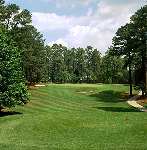 Posterazzi Golf Course Resort Pinehurst Moore County North Carolina USA Poster Print  24 x 24  Varies