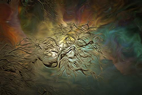 Posterazzi PSTRFF200881S Abstract Painting Tree Branch on a Colorful Background Photo Print 11 x 17 Multi