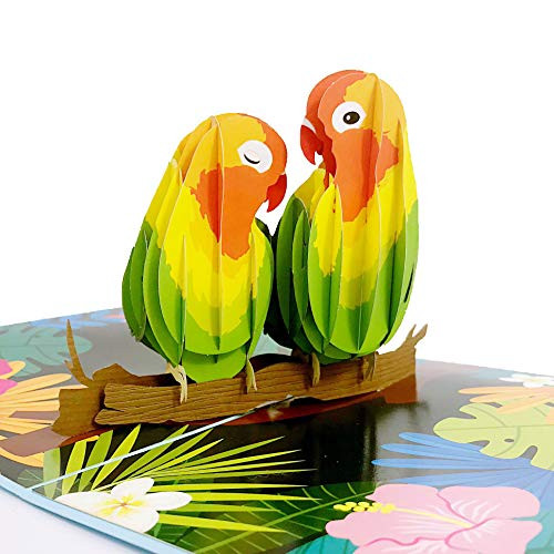 Liif Lovebirds Pop Up Card, 3D Greeting Pop Up Cards For All Occasions, Valentines Day, Mothers Day, Happy Birthday, Wedding Card, Anniversary Card, Anniversary Gifts - For Her, Wife, Couple