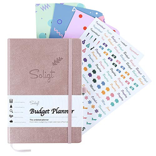 Luxury Budget Planner Book with Cash Envelopes   Stickers   Monthly Financial Planner for Debt Expense Bill Tracker   Rose Gold  Undated