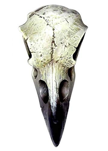 Alchemy Gothic Reliquary Raven Skull White