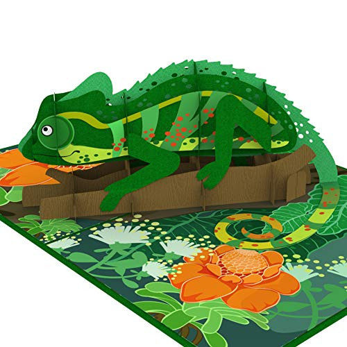 Colorpop Cards Chameleon Pop Up Card, 3D card, pop up greeting card, handmade card, Animals pop up card, Birthday pop up card