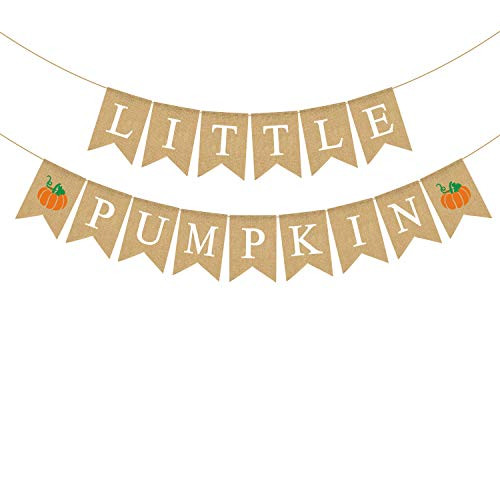 Rainlemon Jute Burlap Little Pumpkin Banner Fall Baby Shower Gender Reveal Birthday Party Garland Decoration