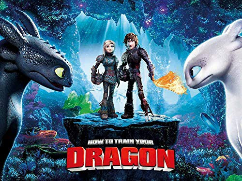 How to Train Your Dragon Backdrop Party Supplies Birthday Banner for Photography Kids Newborn Baby Shower Party Photo Background Photo Shoot Studio Prop