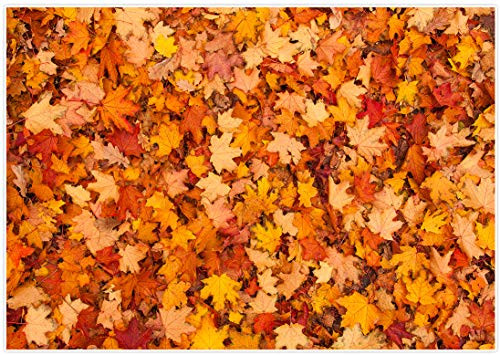 Allenjoy 7x5ft Autumn Maple Tree Leaves Bokeh Photography Backdrop Deciduous Fall Background Halloween Thanksgiving Day Harvest Party Birthday Decor Baby Shower Portrait Photo Shoot Studio Props Allenjoy 7x5ft Autumn Maple Tree Leaves Bokeh Photography Backdrop Deciduous Fall Background Halloween Thanksgiving Day Harvest Party Birthday Decor Baby Shower Portrait Photo Shoot Studio Props