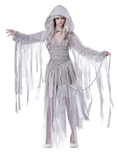 California Costumes Womens Haunting Beauty Ghost Spirit Costume Gray Large