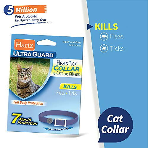 Hartz UltraGuard Purple Flea  Tick Collar for Cats and Kittens  7 Month Protection