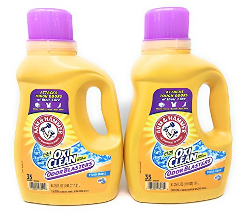 Arm  Hammer Laundry Detergent Plus OxiClean Fresh Burst 6125 Oz Pack of 2