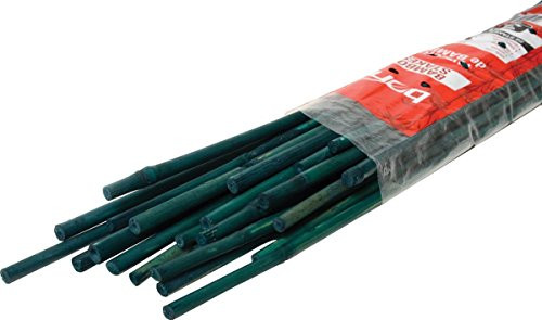 Bond 3Foot Bamboo Stakes 25 Pack