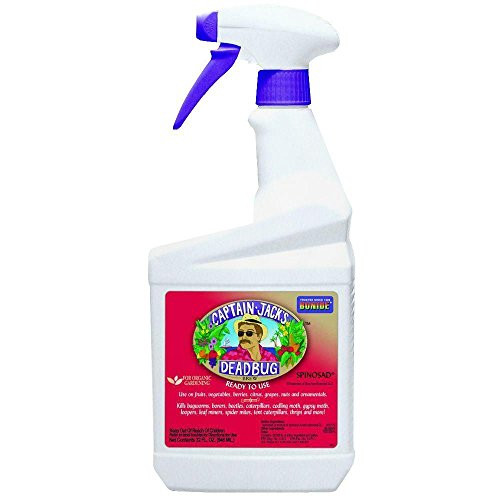 Bonide Captain Jack S Deadbug Brew Ready to Use