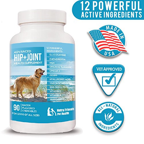 Joint Supplement for Dogs  Advanced Hip and Joint Support  Glucosamine MSM Chondroitin Organic Turmeric Omega 3 CoQ10  Arthritis and Hip Dysplasia Pain Relief  90 Chews  Made in USA