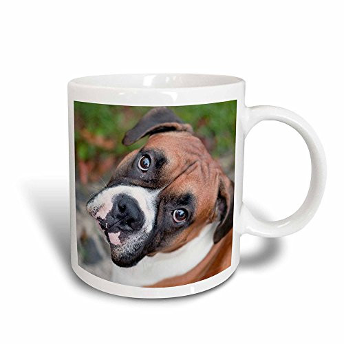 3dRose Cute Boxer Dog Portrait Canine Magic Transforming Mug, 11-Ounce 3dRose Cute Boxer Dog Portrait Canine Magic Transforming Mug, 11-Ounce