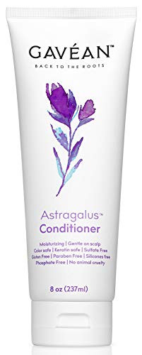 Gavean Astragalus Natural Restorative Conditioner 8 Fl Oz Sulfate Free All Hair Types