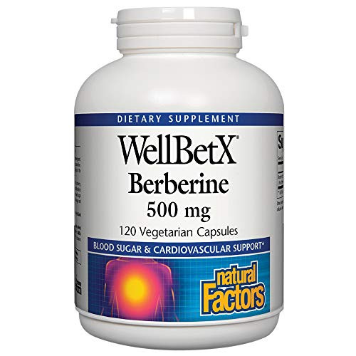 WellBetX Berberine 500 mg by Natural Factors 120 Vegetarian Capsules 120 Servings