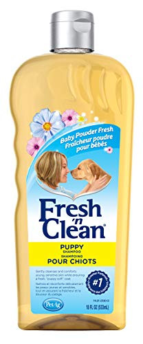 Fresh n Clean Puppy Shampoo Baby Powder Fresh