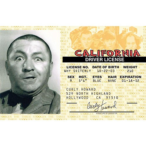 Signs 4 Fun NTIDC3 StoogesCurlys Drivers License