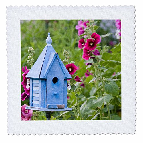 3dRose Blue Birdhouse Near Hollyhocks Alcea rosea Marion Illinois USA Quilt Square 10inch qs2062041