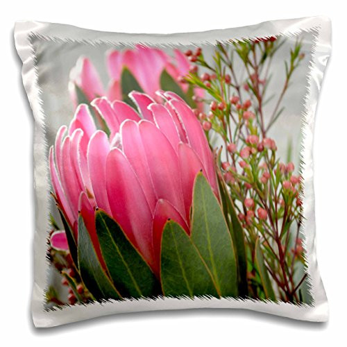 3dRose Pink Protea Flowers- Floral Photography- Tropical Hawaiian Flowers-Pillow Case, 16 by 16" (pc_40107_1)