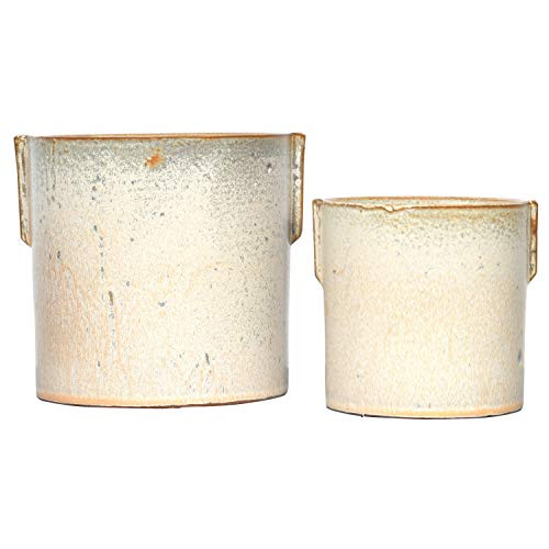 Creative Coop Champagne Color Stoneware Planter with Reactive Glaze Set of 2 Pot