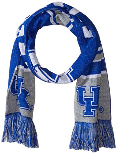 FOCO NCAA Kentucky Wildcats Reversible Cropped Big Logo Scarf One Size Team Color