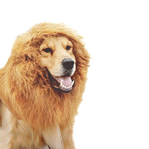 UEETEK Lion Mane for DogPet Dog Lion Mane Wig for Halloween Party Fancy Dress Up Costume Dog Lions Mane Costume Halloween UEETEK Lion Mane for DogPet Dog Lion Mane Wig for Halloween Party Fancy Dress Up Costume Dog Lions Mane Costume Halloween