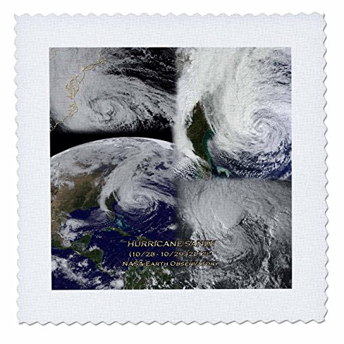 3dRose qs767801 Hurricane Sandy NASA Earth Observatory CollageQuilt Square 10 by 10Inch