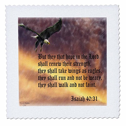 3dRose qs274199 Isaiah 4031 Bible Verse with Eagle Against a Troubled Sky Quilt Square 22 by 22Inch 3dRose qs274199 Isaiah 4031 Bible Verse with Eagle Against a Troubled Sky Quilt Square 22 by 22Inch