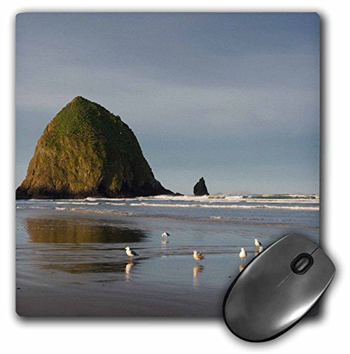 3dRose Mouse Pad Haystack Rock on Cannon Beach Oregon  8 by 8Inches mp2793341